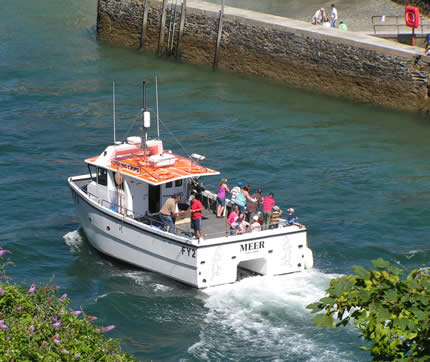 Looe Boat Trip